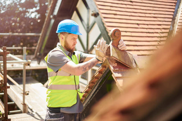 Best Roof Repair Specialists  in Brownsville, KY