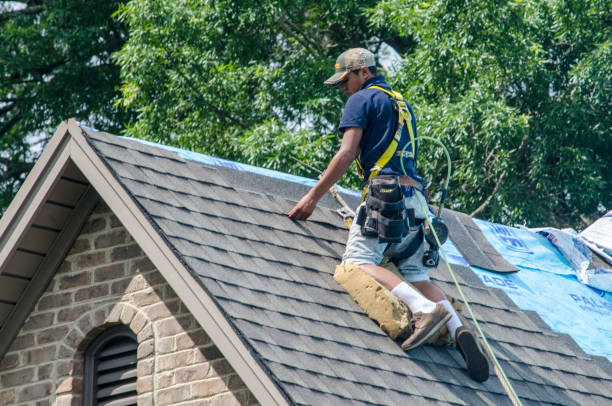 Best Residential Roofing Contractor  in Brownsville, KY